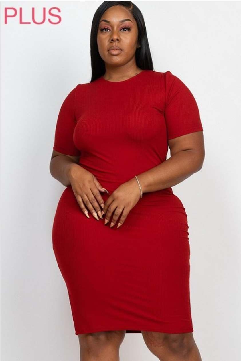 Basic Day Dress Plus